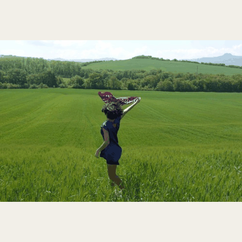 dedé bevilaqua — campaign
